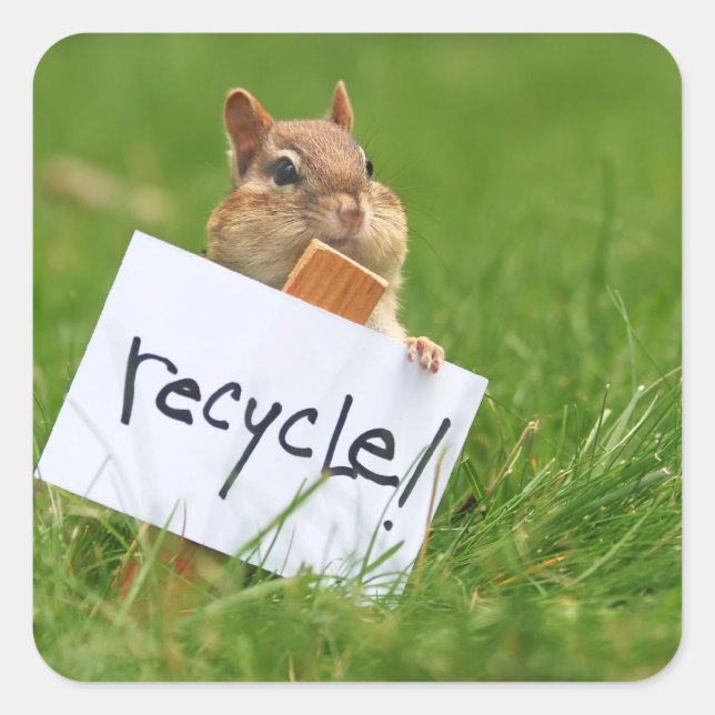 recycelnd Chipmunk Quadratischer Aufkleber (Vorderseite)
