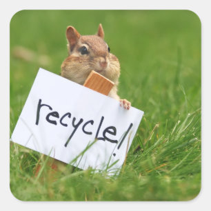 recycelnd Chipmunk Quadratischer Aufkleber