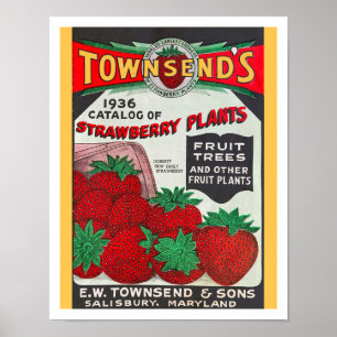 RECYCELTE KUNST: SAATKATALOG 1936  POSTER