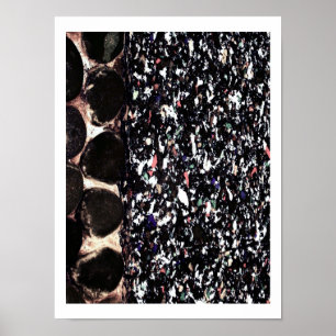 Recycle ~ Pring / Poster / Fotografie
