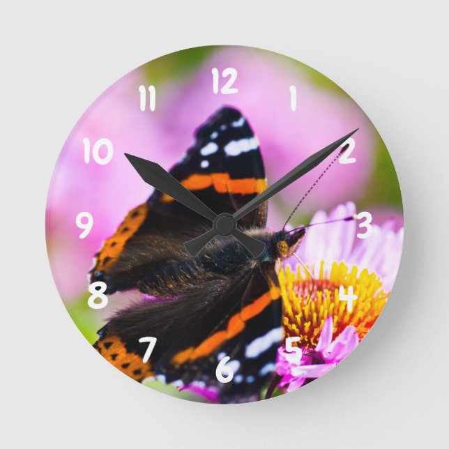 Red Admiral Butterfly Akryllische Wanduhr (Vorderseite)