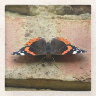 Red Admiral Butterfly Glass Untersetzer