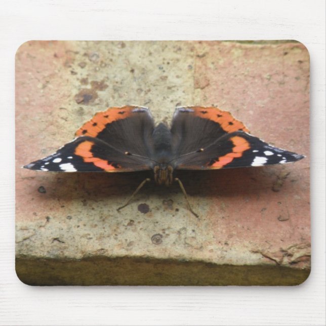 Red Admiral Butterfly Mousepad (Vorne)