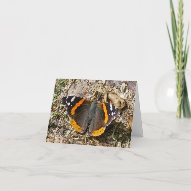 Red Admiral Butterfly Note Card Karte (Vorderseite)
