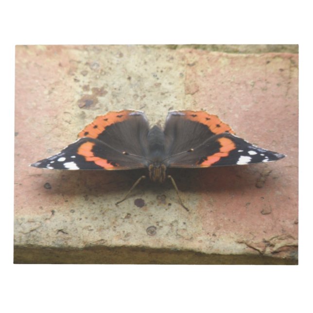 Red Admiral Butterfly Notepad Notizblock (Vorderseite)