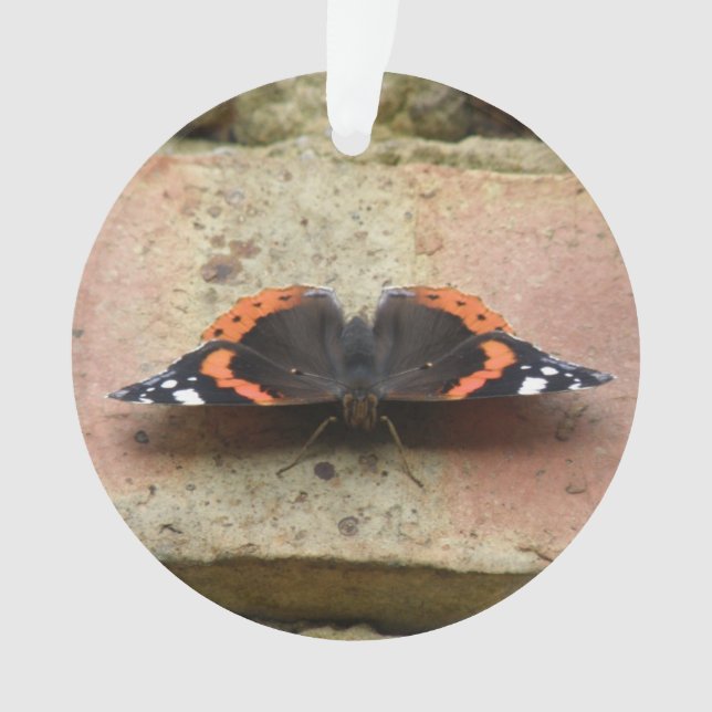 Red Admiral Butterfly Ornament (Vorderseite)
