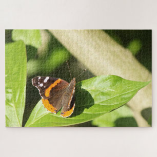 Red Admiral Butterfly Puzzle