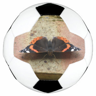 Red Admiral Butterfly Soccer Ball