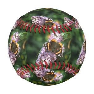 Red Admiral Butterfly und Buddleia Baseball