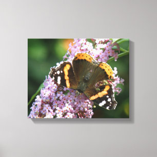 Red Admiral Butterfly und Buddleia Canvas Print Leinwanddruck