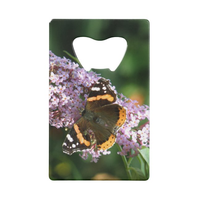 Red Admiral Butterfly und Buddleia Flaschenöffner (Vorderseite)