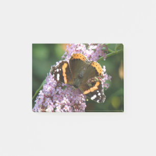 Red Admiral Butterfly und Buddleia Post notiert Post-it Klebezettel