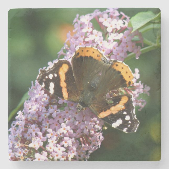 Red Admiral Butterfly und Buddleia Stone Untersetz Steinuntersetzer (Vorderseite)