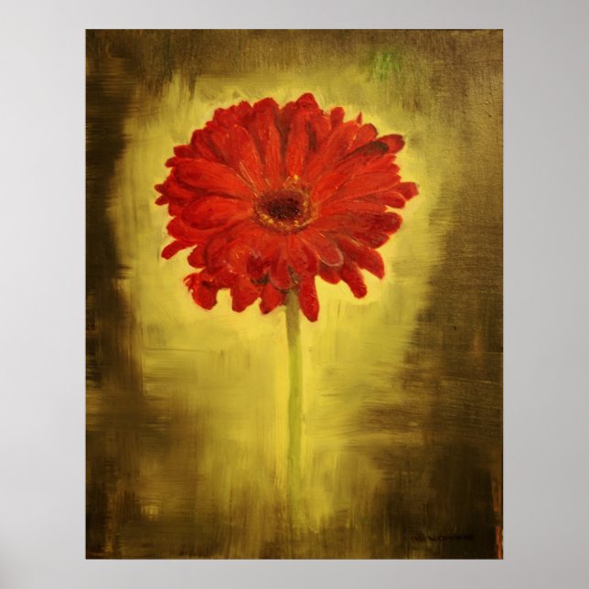 Red African Daisy Poster (Vorne)
