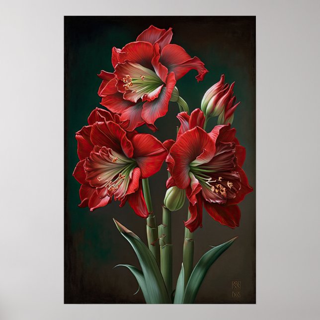 Red Amaryllis Blume Art Print Poster (Vorne)