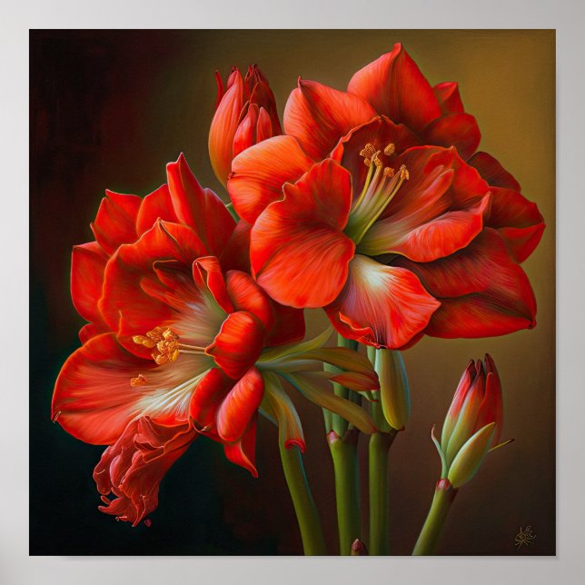 Red Amaryllis Blume Art Print Poster (Vorne)