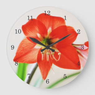 Red Amaryllis Blume Große Wanduhr