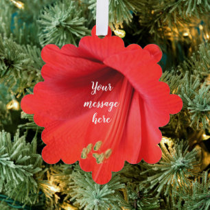Red Amaryllis Blume Keepake Picture Ornament Karte