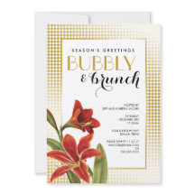 Red Amaryllis Blume überprüft Gold