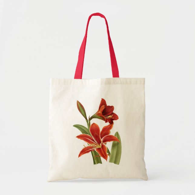 Red Amaryllis Botanical Print Tragetasche (Vorne)