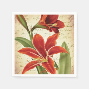 Red Amaryllis Christmas Blume Botanical Serviette