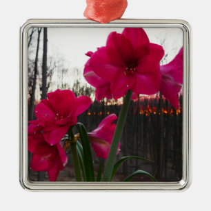 Red Amaryllis und Winter Sunrise Ornament Aus Metall