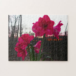 Red Amaryllis und Winter Sunrise Puzzle