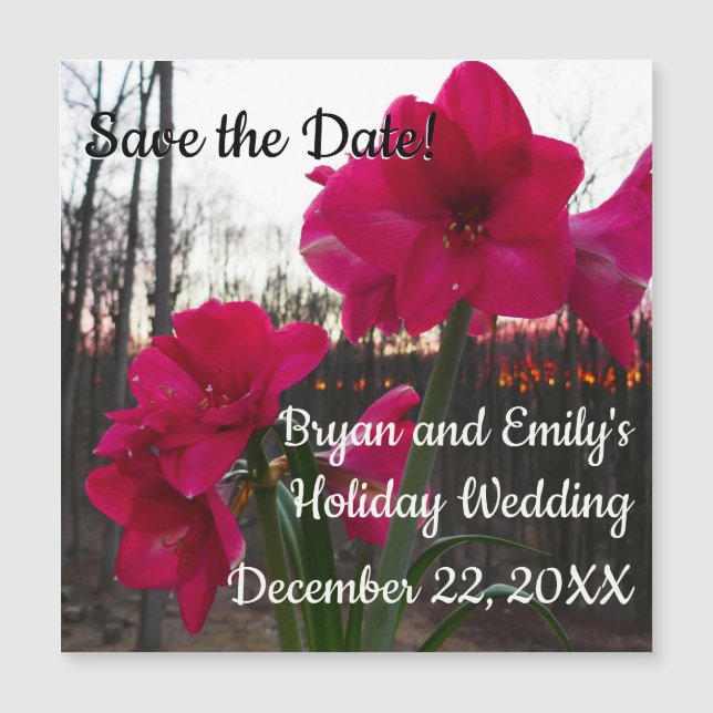 Red Amaryllis und Winter Sunrise Save the Date Magnetkarte (Vorderseite)