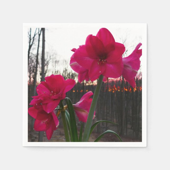Red Amaryllis und Winter Sunrise Serviette (Vorderseite)
