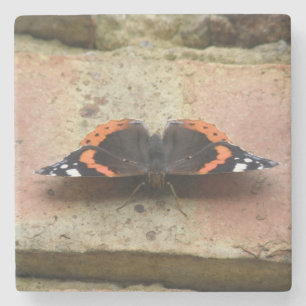 Red Amiral Butterfly Stone Untersetzer