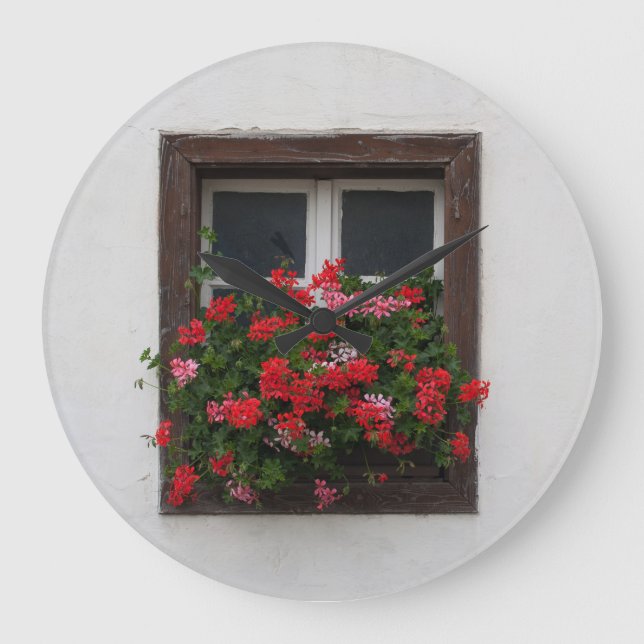 Red And Pink Pelargonium Große Wanduhr (Vorderseite)