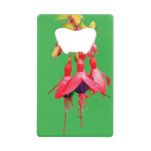 Red and purple flowers