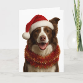 Red and white Border Collie Christmas card Karte