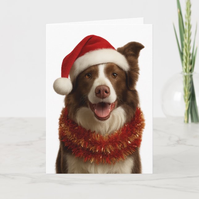 Red and white Border Collie Christmas card Karte (Vorderseite)