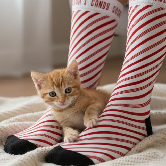 Red and White Candy Cane Strickte Weihnachtssocken Socken (Enjoy holiday cuddles with your furry friend! )