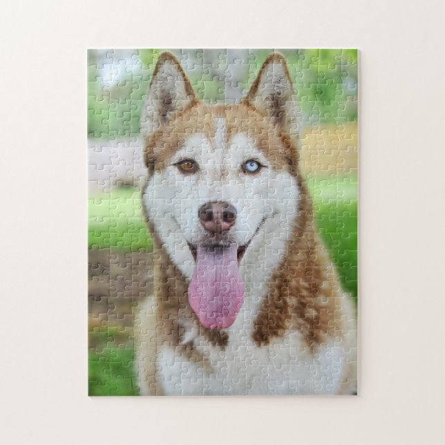 Red and White Husky Dog Puzzle (Vertikal)