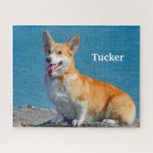 Red and White Pembroke Welsh Corgi Puppy Dog Jigsa