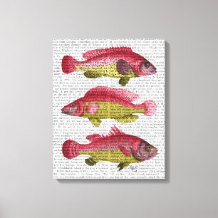 Red and Yellow Fantasy Fish Trio Leinwanddruck