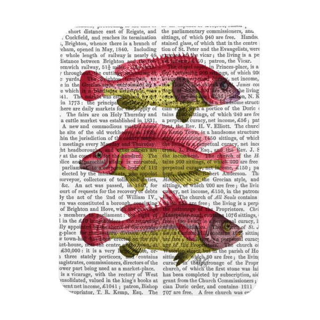 Red and Yellow Fantasy Fish Trio Magnet (Vertikal)