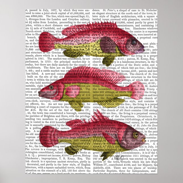 Red and Yellow Fantasy Fish Trio Poster (Vorne)