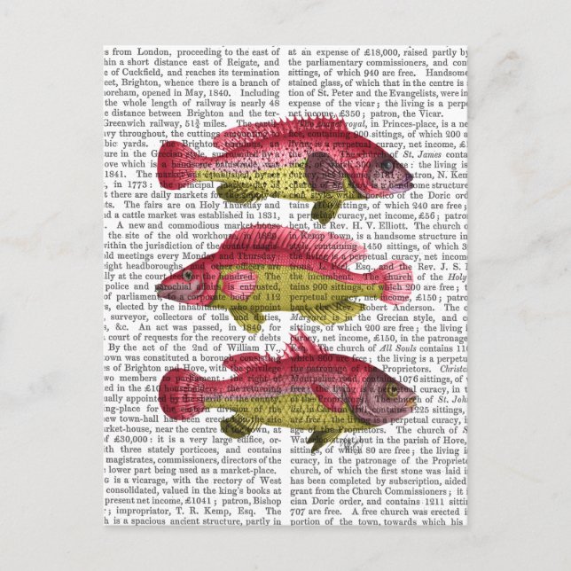 Red and Yellow Fantasy Fish Trio Postkarte (Vorderseite)