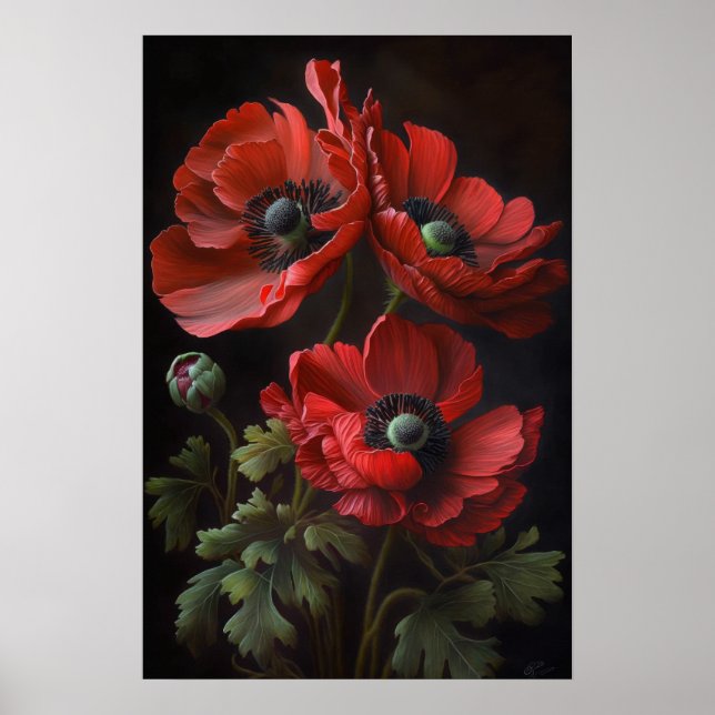 Red Anemone Blume Art Print Poster (Vorne)