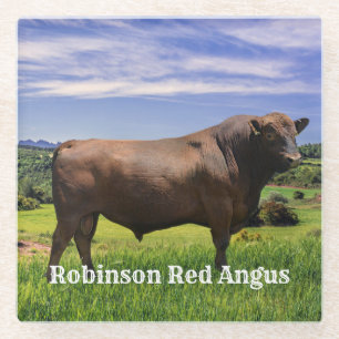 Red Angus Bull   Glasuntersetzer
