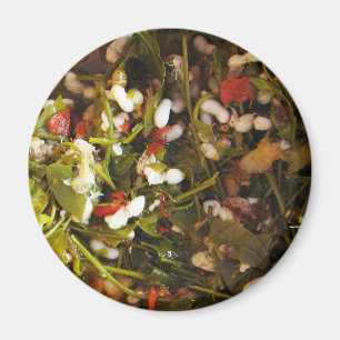 Red Ant Egg Salad ... Thai Street Food Magnet