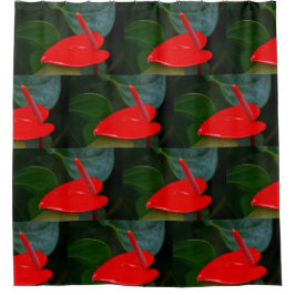Red Anthruim Blume Duschvorhang