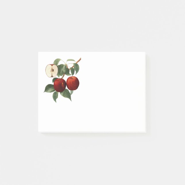 Red Apples Botanical Teacher Name 4x3 Post-it Klebezettel (Vorderseite)