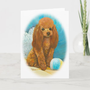 Red Apricot Poodle mit Ball Karte