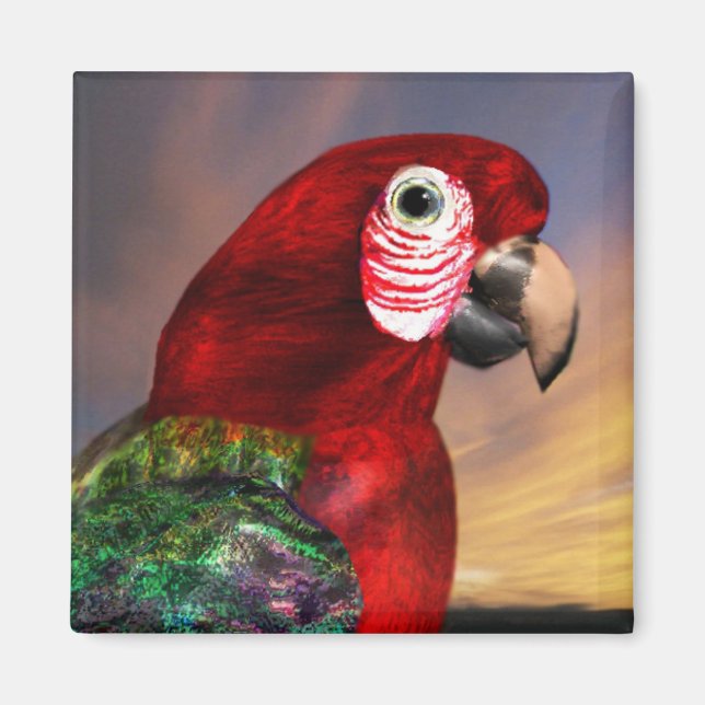 RED ARA MAGNET (Vorne)