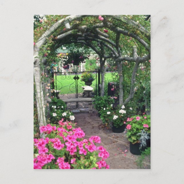 Red Arch and Blume, Victoria, British Columbia, Postkarte (Vorderseite)