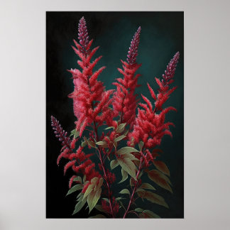 Red Astilbe Blumen Art Print Poster